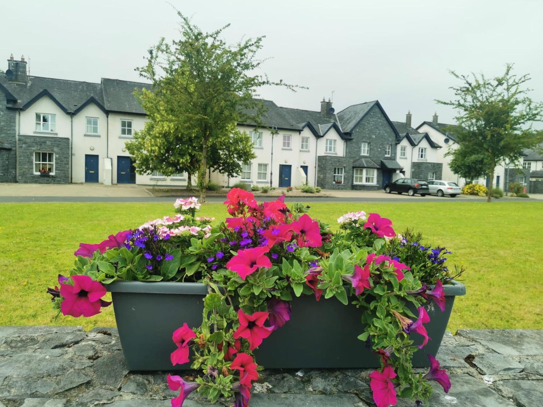 Bunratty Holiday Homes Exteriér fotografie
